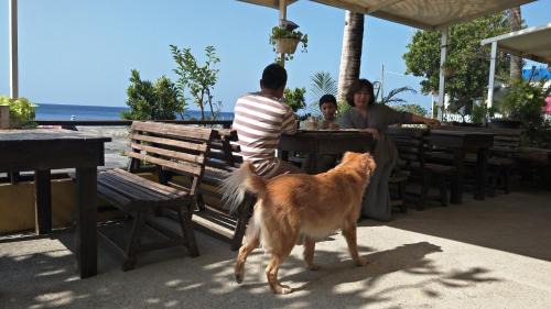 Eluan House | Mishe B&B也可包棟民宿