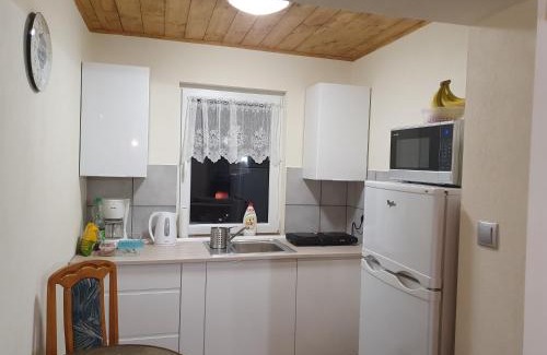 Lasowka House | MISIÓWKA