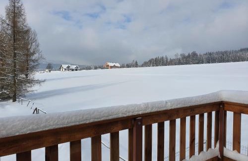 Lasowka House | MISIÓWKA