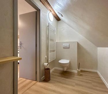 Golcuv Jenikov Apartment | Mlýnská 53