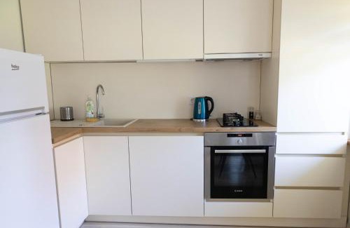 Anyksciai Apartment | Močiutės apartamentai