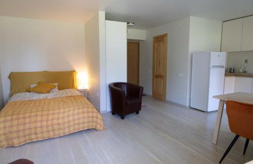 Anyksciai Apartment | Močiutės apartamentai