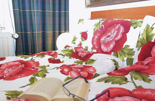 Bad Suderode House | Modern holiday home in a listed villa with a view of Bad Suderode