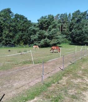 Selmsdorf Apartment | Mobil House auf Tierschutz Landhof inmitten der Natur bei Lübeck