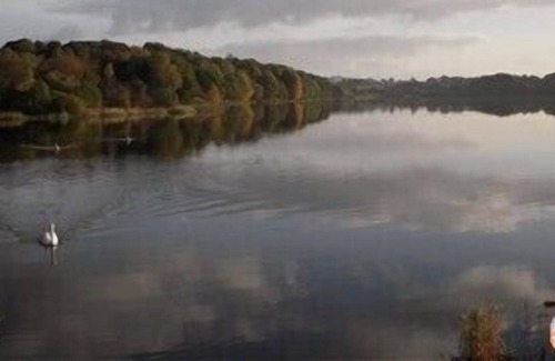 Fintry Cottage | Modern 4 Bedroom Country House with 1 acre gardens