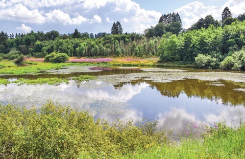 Buellingen Apartment | Modern and spacious vacation apartment near the Bütgenbach reservoir.