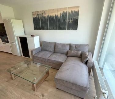 Ruzinov Apartment | Modern aparment in Moruse compex with free parking