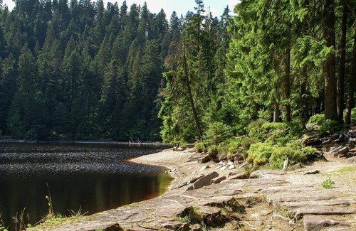 Bad Rippoldsau-Schapbach Apartment | Modern Apartment near Forest in Bad Rippoldsau