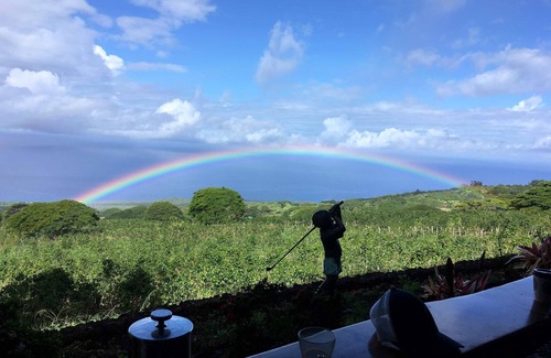 Kealakekua Cabin | Modern cabin on a world famous Kona Coffee farm with AC, WiFi. Unit 1