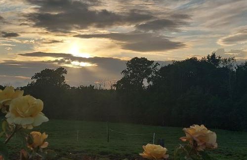 Ballymurn Apartment | Modern Countryside apartment Killmallock Lodge