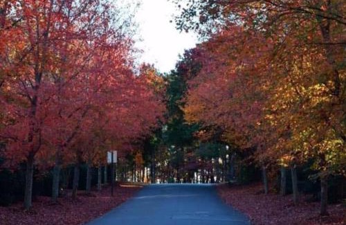 Marietta House | Modern Luxe Retreat near Braves Fast WiFi and Parking