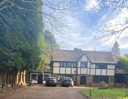 Sutton Coldfield House | Modern studio in natural surroundings