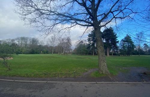 Sutton Coldfield House | Modern studio in natural surroundings