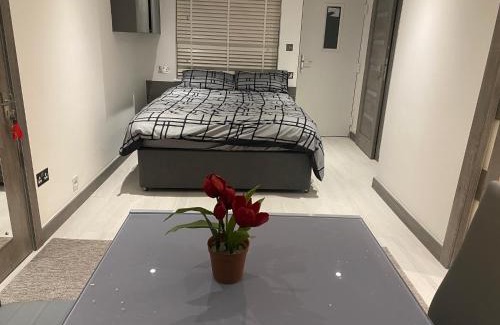 Sutton Coldfield House | Modern studio in natural surroundings