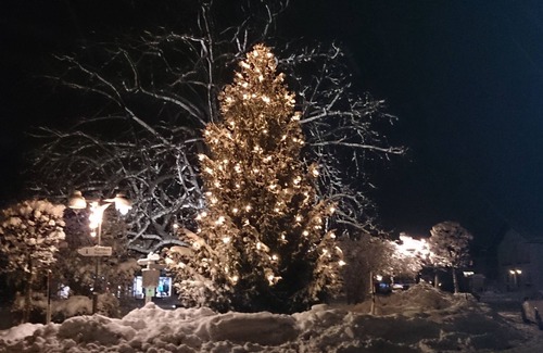 Verwaltungsgemeinschaft Hornergruppe Apartment | Modern vacation apartment, 2 pers., indoor pool, on the ground floor