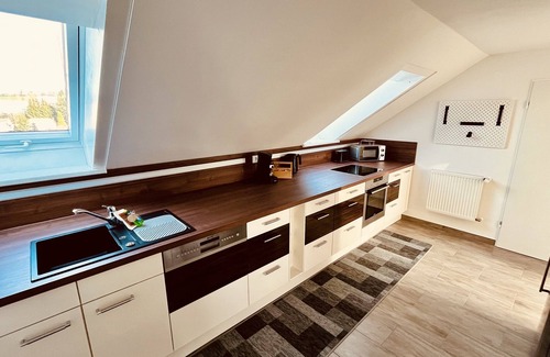 Stammbach Apartment | Moderne Ferienwohnung mit Küche und Garten