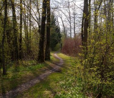 Reichenhofen Apartment | Moderne Unterkunft in Leutkirch
