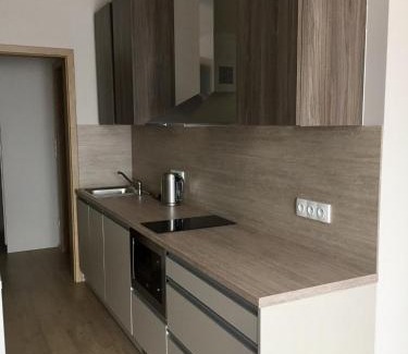 Dolni Morava Apartment | Modrý Apartmán