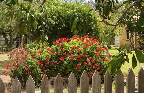 Barmah House | Moira Gums - Nestled on the edge of the Barmah National Forest