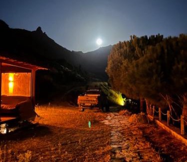 Marmara Other | MOLA Bungalow