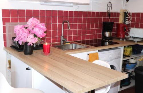 Beuil Apartment | Mon Mounier : Studio cosy au pied des pistes/Vue de rêve !