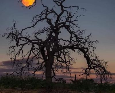 Tremp Apartment | Monroser