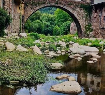 Tremp Apartment | Monroser