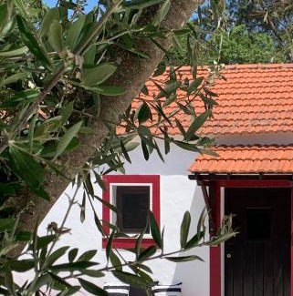 Santiago do Cacem House | Monte do Pereiro