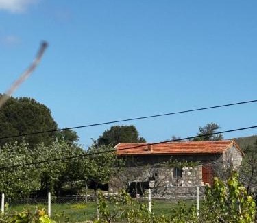 Ayvacik House | Moray pansiyon