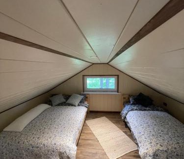 Bigaunciems House | More Holiday Pine House