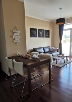 Karlovy Vary Apartment | Moser Apartment Carlsbad