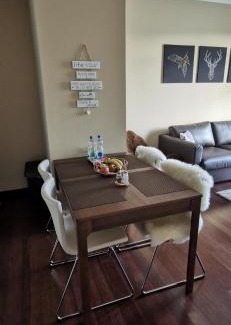 Karlovy Vary Apartment | Moser Apartment Carlsbad