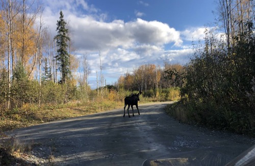 Wasilla House | Motorized Lake Front property.