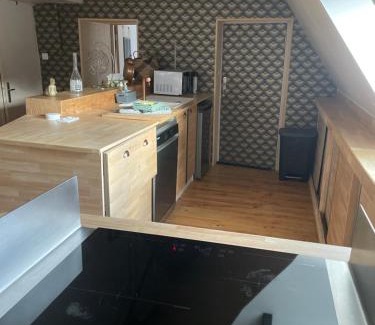 Plouneventer Apartment | Moulin de brezal et étang à 20 minute de la mer