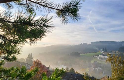 Schonach im Schwarzwald Apartment | Mountain-top with balcony