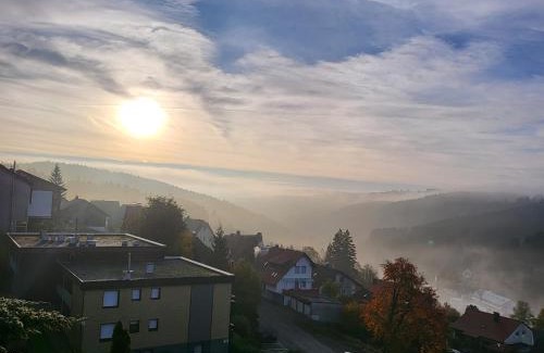 Schonach im Schwarzwald Apartment | Mountain-top with balcony