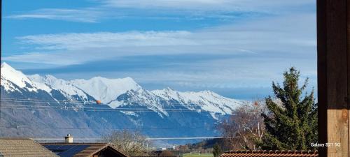 Wilderswil Apartment | Mountain - Lake Apartement 1
