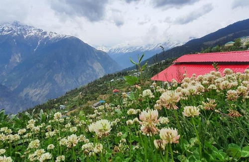 Auli Resort | Mountain Rover Auli Resort