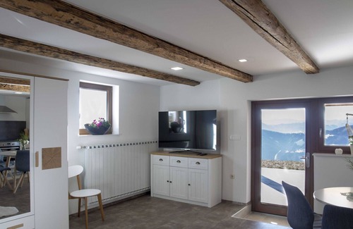 Dravograd Apartment | Mountain Vibrant and Timeless Apartment with Sauna - Studio Apartment with Terrace