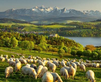 Sucha Hora Apartment | Mountain View Apartament Termy Chochołowskie 5 min