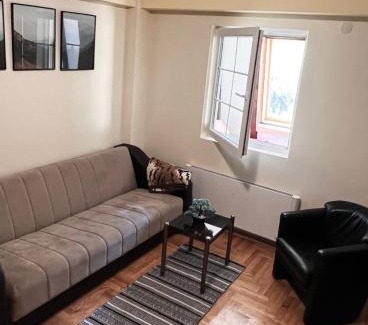 Brzece Apartment | Mountain view