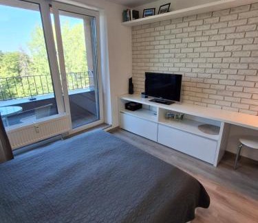 Poprad Apartment | Mountain View Studio Apartment