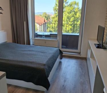 Poprad Apartment | Mountain View Studio Apartment