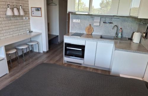 Poprad Apartment | Mountain View Studio Apartment