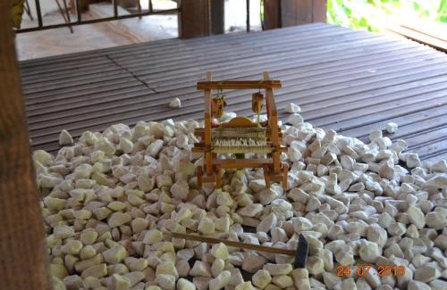 Elafina House | Mouson Melathron