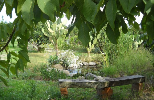 Mortelle House | Mulberry Tree House with garden and direct access to the Tyrrhenian Sea