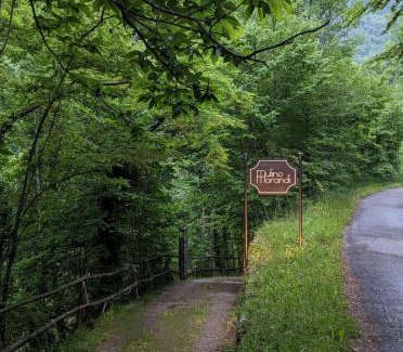 Loro Ciuffenna Villa | Mulino Morandi