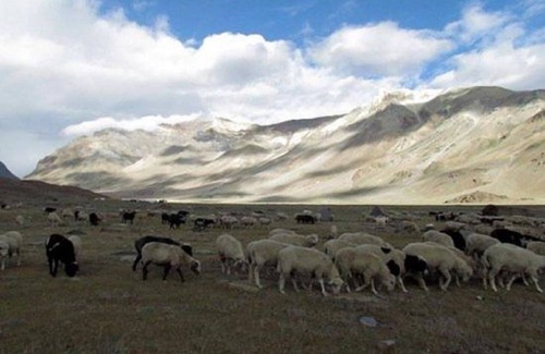 Sarchu RV Rental | Mulkila Adventures - Campsite