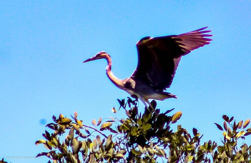 Kafue National Park Cabin | Mwamfushi Safari Lodge