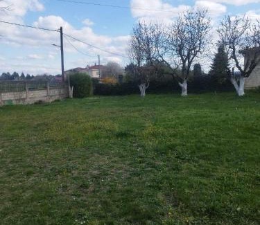 Ampelokipi Apartment | My Flowers